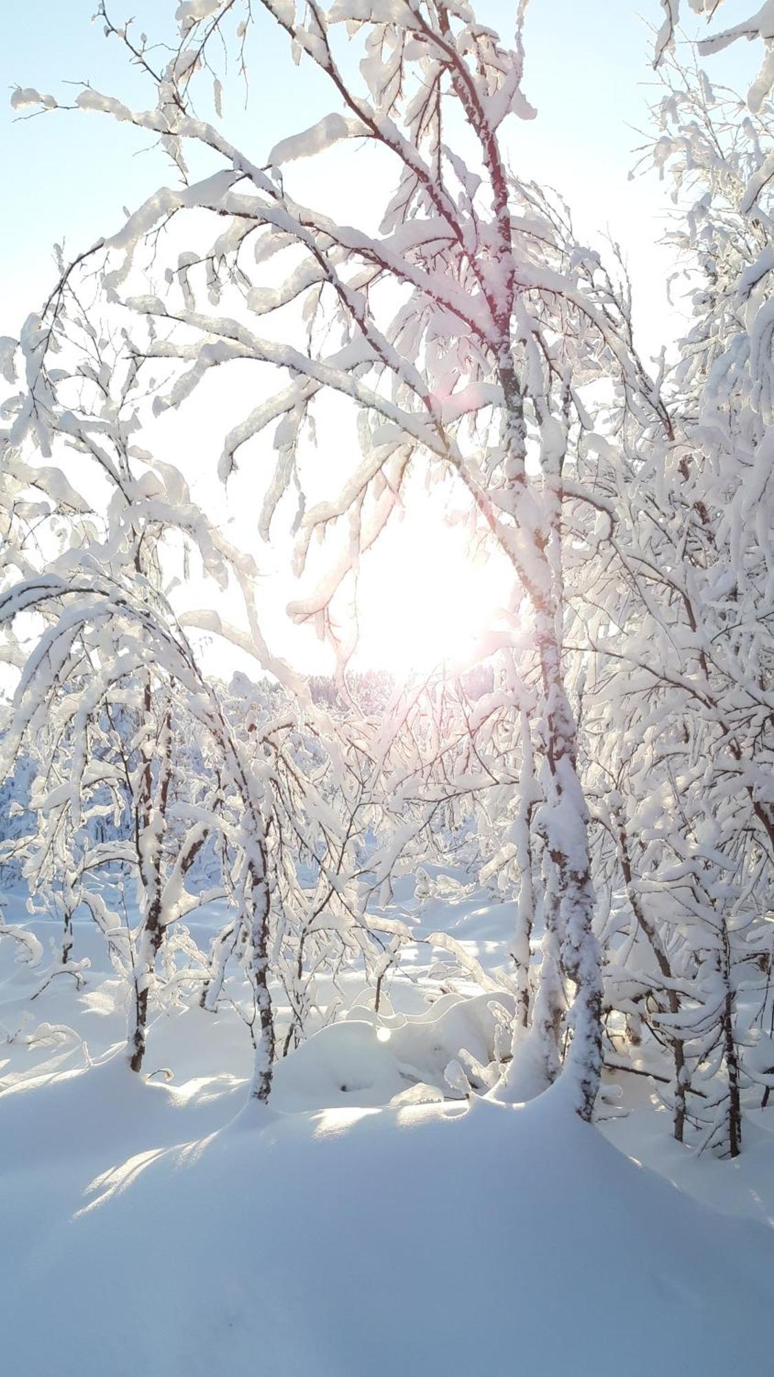 Majatalo Jurtta Hotel Rautuskylä Buitenkant foto